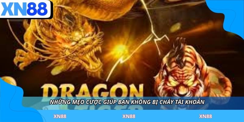 Những mẹo cược giúp bạn không bị cháy tài khoản